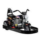Trike NEU - zweisitzig