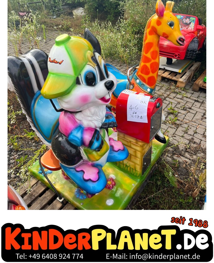 Giraffe und Eichhörnchen auf Insel
